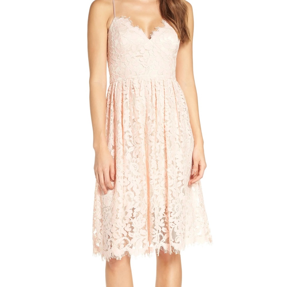 NWOT Eliza J Fit and Flare Dress